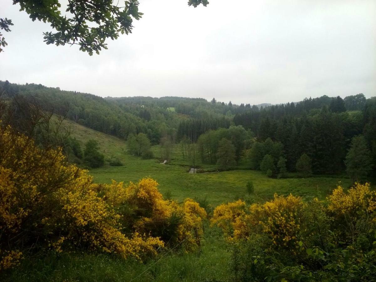 Willa La Ferme De Bertogne Zewnętrze zdjęcie