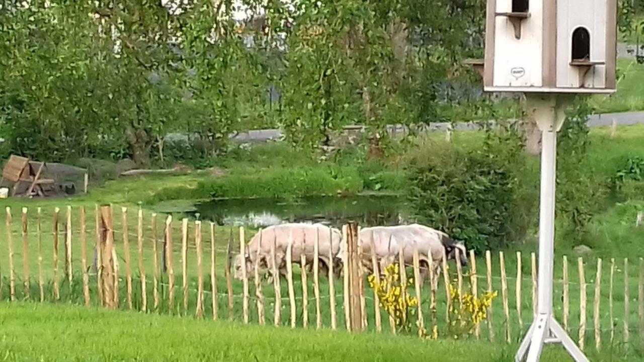 Willa La Ferme De Bertogne Zewnętrze zdjęcie